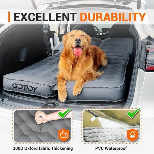 a dog sitting in the back of a car