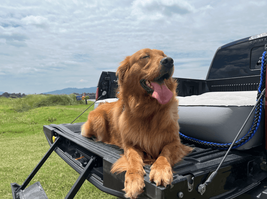 GOTIDY 6-6.5 Ft Bed Truck Bed Air Mattress, Toyota Tacoma, F150, Ram